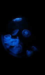 Preview wallpaper jellyfish, glow, underwater, water, porthole, macro, blue