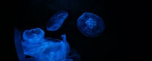 Preview wallpaper jellyfish, glow, underwater, water, porthole, macro, blue