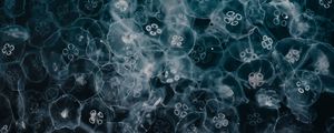 Preview wallpaper jellyfish, glow, underwater world
