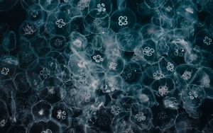 Preview wallpaper jellyfish, glow, underwater world