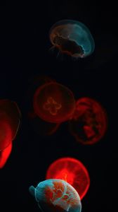 Preview wallpaper jellyfish, glow, underwater world, dark