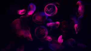 Preview wallpaper jellyfish, neon, glow, dark