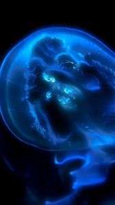 Preview wallpaper jellyfish, phosphorus, light, underwater world