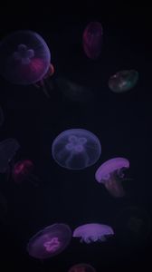 Preview wallpaper jellyfish, purple, dark, underwater