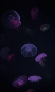 Preview wallpaper jellyfish, purple, dark, underwater