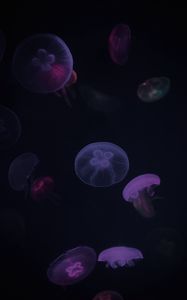 Preview wallpaper jellyfish, purple, dark, underwater