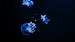 Preview wallpaper jellyfish, tentacle, black, beautiful, dark