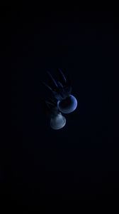 Preview wallpaper jellyfish, tentacle, dark