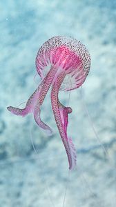 Preview wallpaper jellyfish, tentacle, water, beautiful, spots