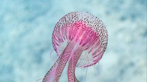 Preview wallpaper jellyfish, tentacle, water, beautiful, spots