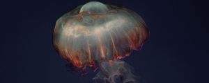 Preview wallpaper jellyfish, tentacles, animal, underwater, dark
