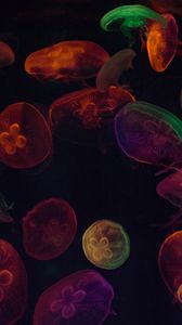 Preview wallpaper jellyfish, tentacles, colorful, dark