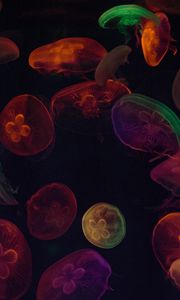 Preview wallpaper jellyfish, tentacles, colorful, dark