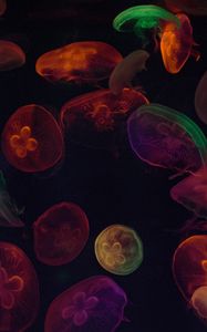 Preview wallpaper jellyfish, tentacles, colorful, dark