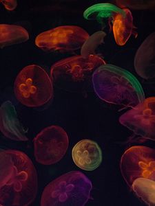 Preview wallpaper jellyfish, tentacles, colorful, dark