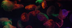 Preview wallpaper jellyfish, tentacles, colorful, dark