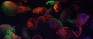 Preview wallpaper jellyfish, tentacles, colorful, dark