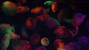 Preview wallpaper jellyfish, tentacles, colorful, dark