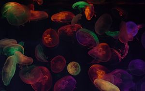 Preview wallpaper jellyfish, tentacles, colorful, dark