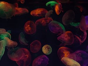 Preview wallpaper jellyfish, tentacles, colorful, dark