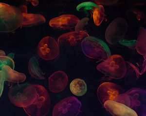 Preview wallpaper jellyfish, tentacles, colorful, dark