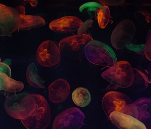 Preview wallpaper jellyfish, tentacles, colorful, dark