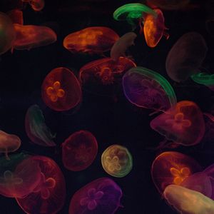 Preview wallpaper jellyfish, tentacles, colorful, dark