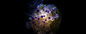 Preview wallpaper jellyfish, tentacles, dark, underwater, depth