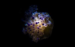 Preview wallpaper jellyfish, tentacles, dark, underwater, depth