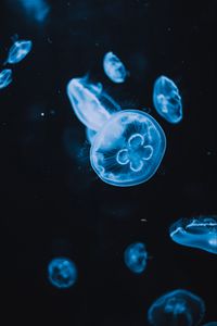 Preview wallpaper jellyfish, tentacles, glow, water, black