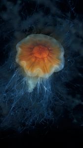 Preview wallpaper jellyfish, tentacles, sea, underwater, depth