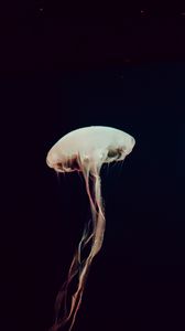 Preview wallpaper jellyfish, tentacles, sea, depth, dark