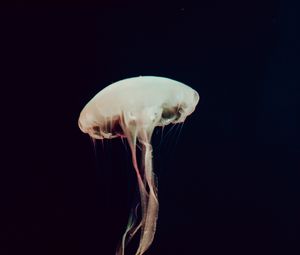 Preview wallpaper jellyfish, tentacles, sea, depth, dark