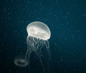 Preview wallpaper jellyfish, tentacles, underwater, dots