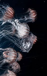 Preview wallpaper jellyfish, tentacles, underwater, darkness