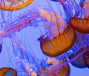 Preview wallpaper jellyfish, tentacles, underwater world, water, depth