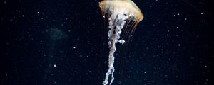 Preview wallpaper jellyfish, tentacles, underwater world, water, dark