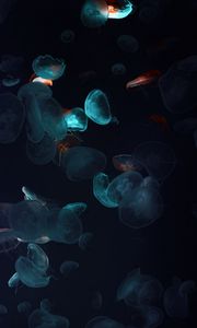 Preview wallpaper jellyfish, tentacles, underwater world, black