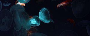 Preview wallpaper jellyfish, tentacles, underwater world, black