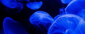 Preview wallpaper jellyfish, tentacles, underwater world, blue, darkness