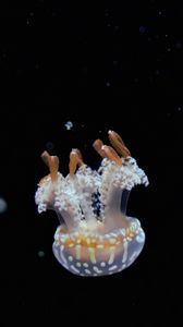 Preview wallpaper jellyfish, tentacles, water, depth, underwater world