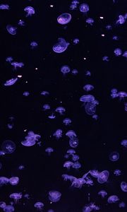 Preview wallpaper jellyfish, underwater, blue, dark