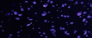 Preview wallpaper jellyfish, underwater, blue, dark