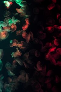 Preview wallpaper jellyfish, underwater, glow, colorful, dark