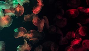 Preview wallpaper jellyfish, underwater, glow, colorful, dark