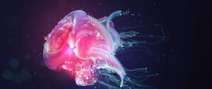 Preview wallpaper jellyfish, underwater, light, shadow