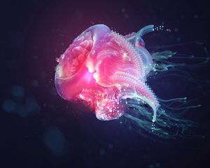 Preview wallpaper jellyfish, underwater, light, shadow