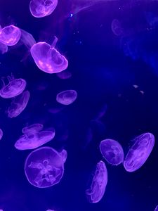 Preview wallpaper jellyfish, underwater, water, glow