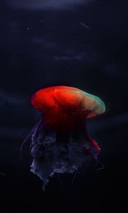 Preview wallpaper jellyfish, underwater world, beautiful, dark