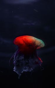 Preview wallpaper jellyfish, underwater world, beautiful, dark